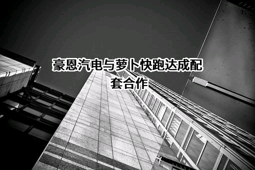 深圳市豪恩汽车电子装备股份有限公司