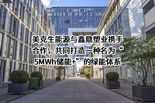 上海玫克生储能科技有限公司