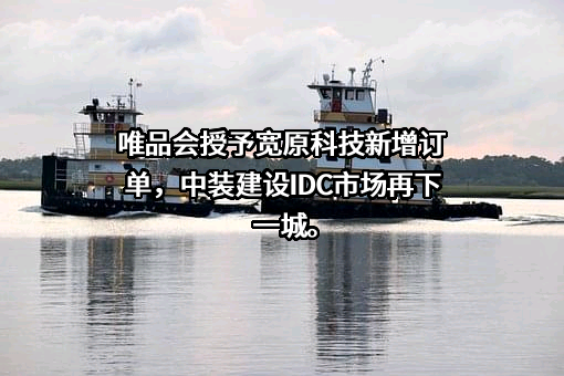 唯品会（中国）有限公司