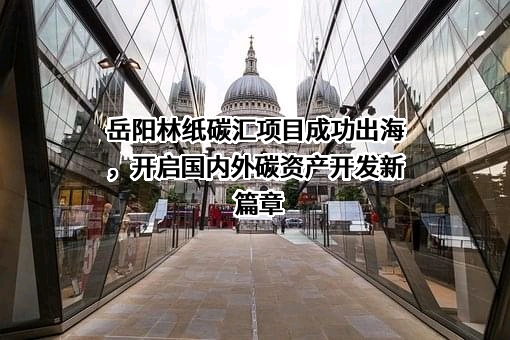 岳阳林纸股份有限公司