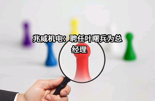 深圳市兆威机电股份有限公司
