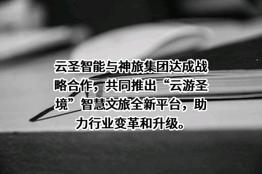 北京云圣智能科技有限责任公司