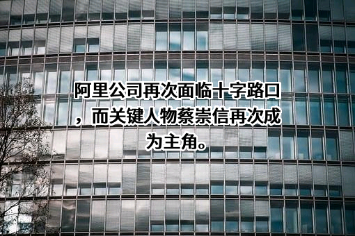阿里巴巴集团控股有限公司