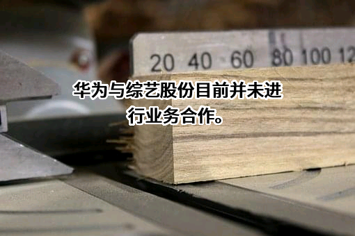 江苏综艺股份有限公司
