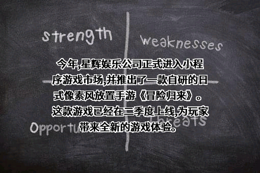 星辉互动娱乐股份有限公司