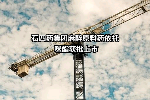 石四药集团有限公司