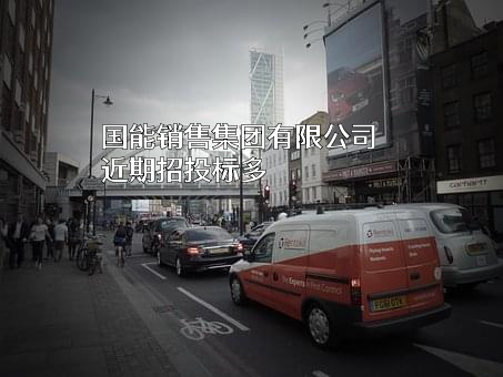 国能销售集团有限公司