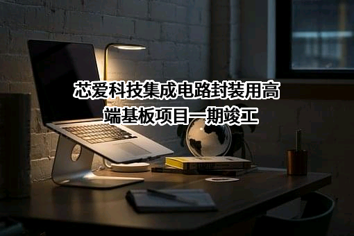 芯爱科技（南京）有限公司
