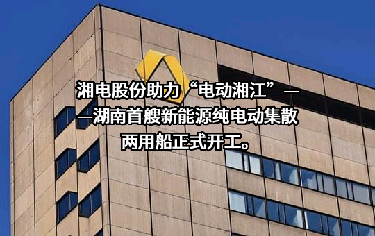 湖南湘电动力有限公司
