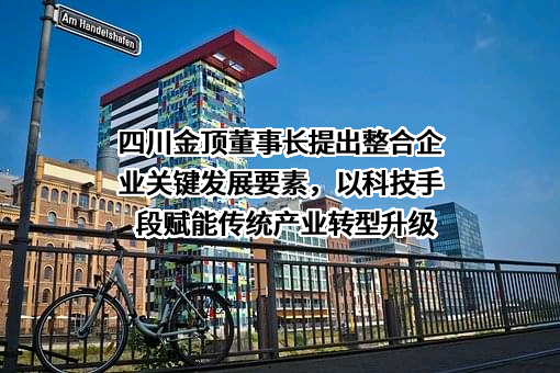 四川金顶（集团）股份有限公司