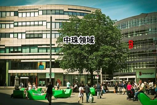 中珠医疗控股股份有限公司