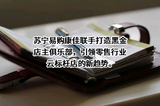 苏宁易购集团股份有限公司