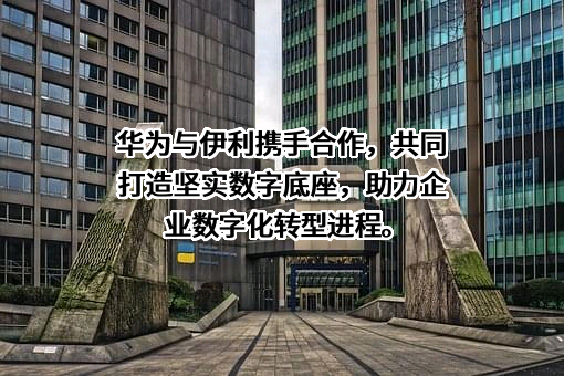 华为技术有限公司