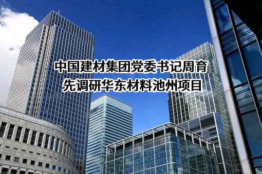 中国建材国际工程集团有限公司