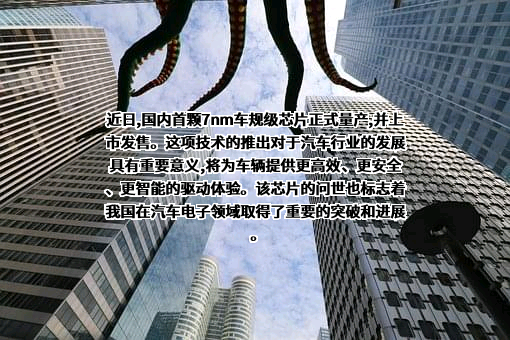 华为技术有限公司