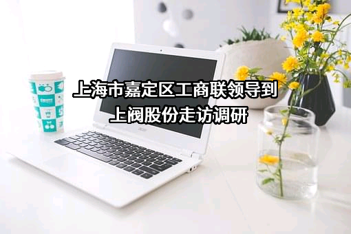 上海阀门厂股份有限公司