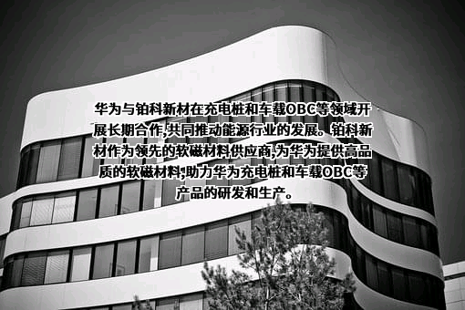 华为技术有限公司