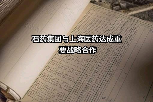 石药控股集团有限公司