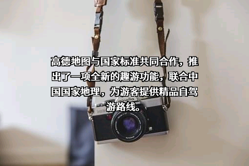 高德软件有限公司