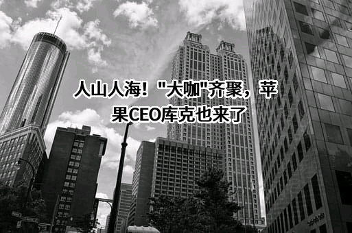 苹果电子产品商贸（北京）有限公司
