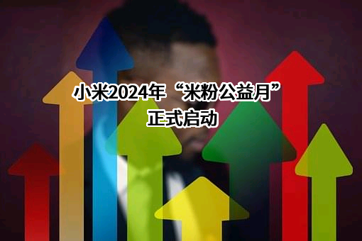 小米科技有限责任公司