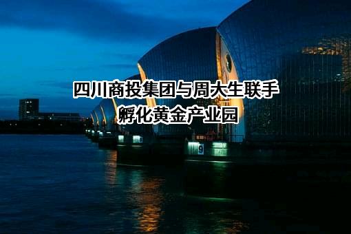 四川省商业投资集团有限责任公司