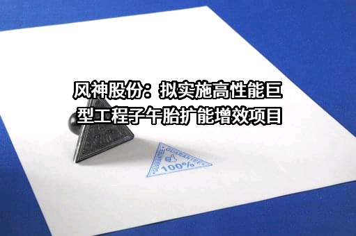 风神轮胎股份有限公司