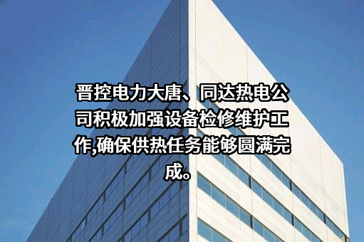 同达热电公司