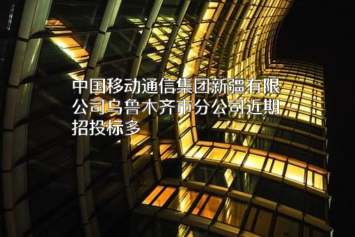 中国移动通信集团新疆有限公司乌鲁木齐市分公司