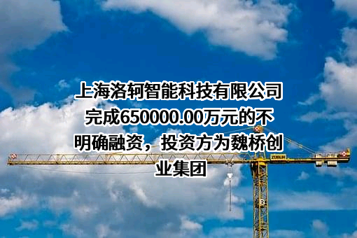 上海洛轲智能科技有限公司