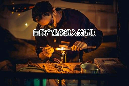 佛山市飞驰汽车科技有限公司