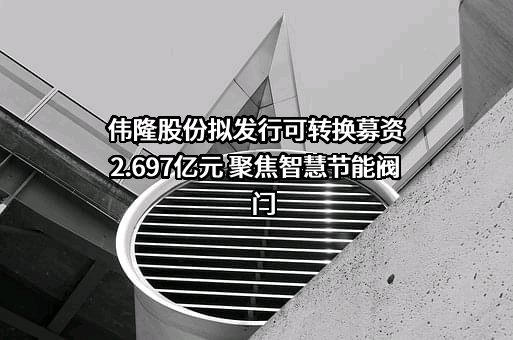 青岛伟隆阀门股份有限公司
