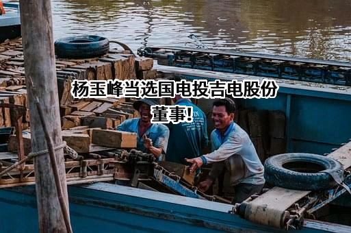 吉林电力股份有限公司