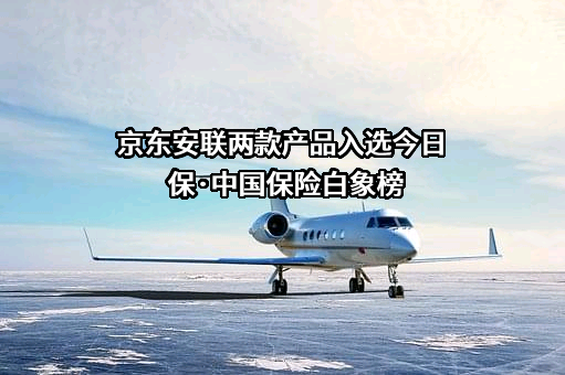 京东安联财产保险有限公司