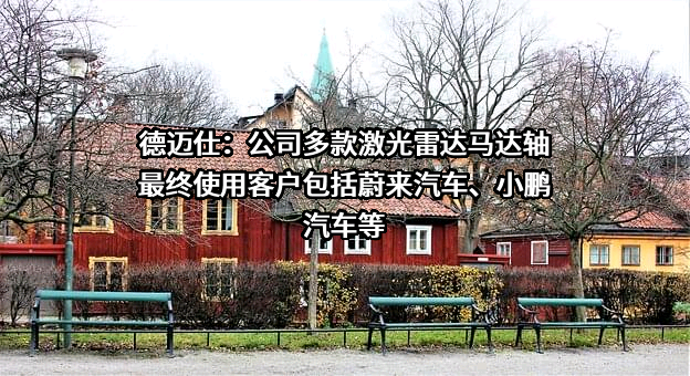 大连德迈仕精密科技股份有限公司