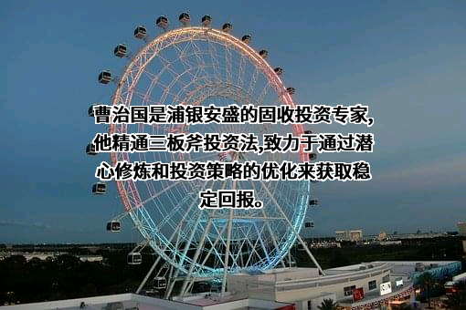 上海浦银安盛资产管理有限公司