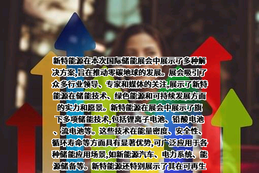 新特能源股份有限公司