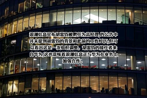 浪潮电子信息产业股份有限公司