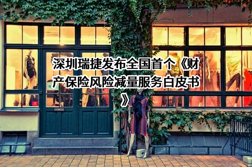 深圳瑞捷工程咨询股份有限公司