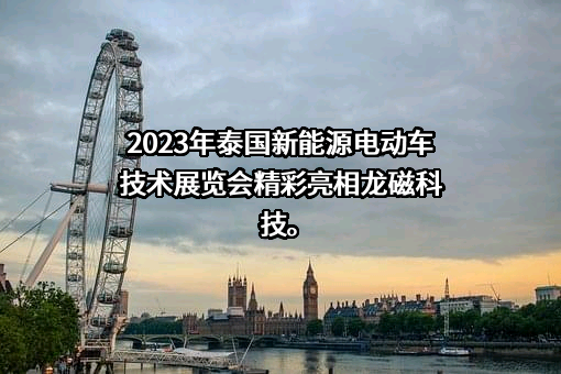 安徽龙磁科技股份有限公司