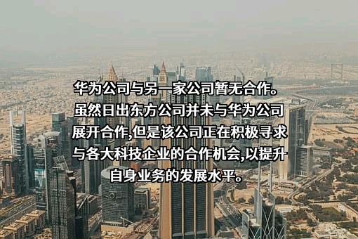 日出东方控股股份有限公司