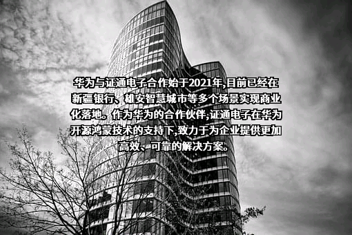 深圳市证通电子股份有限公司