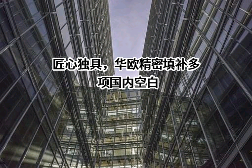 西安华欧精密机械有限责任公司