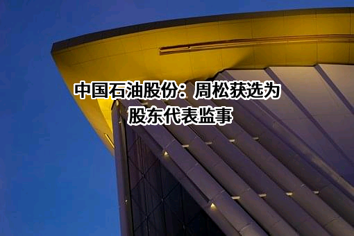 中国石油天然气股份有限公司