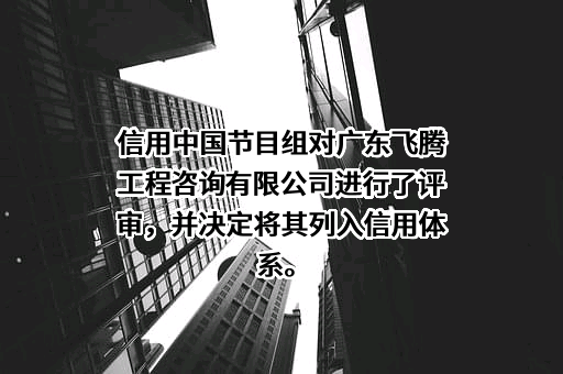 广东飞腾工程咨询有限公司