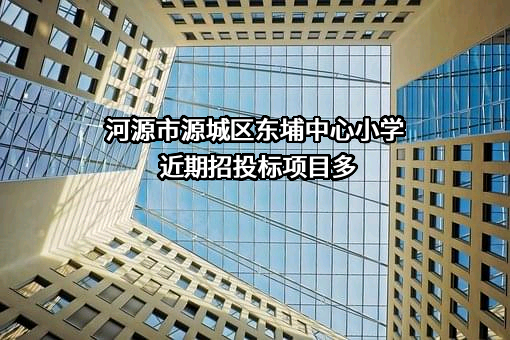 河源市源城区东埔中心小学