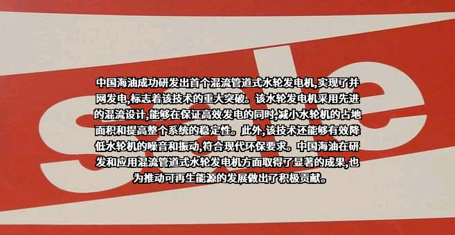 中国海洋石油集团有限公司