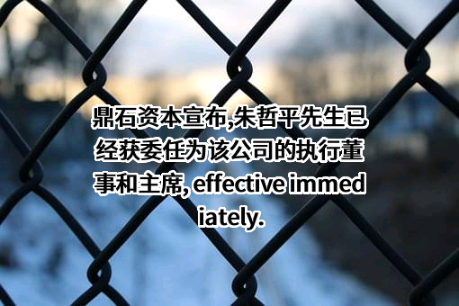 鼎石资本有限公司