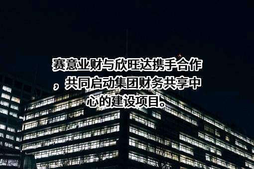 广州赛意业财科技有限公司