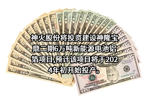 河南神火煤电股份有限公司